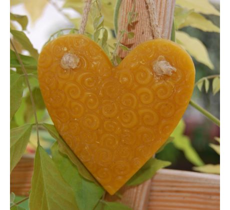 Voskové srdiečko široké