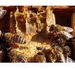 Suchý propolis