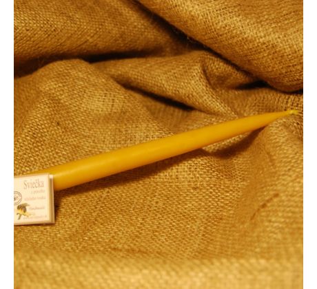 Sviečka vysoká hladká