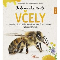 Jeden rok v živote včely